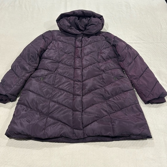 Steve Madden Jackets & Blazers - Steve Madden Puffer Jacket
